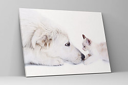 Obraz Mačiatko a pes 1562